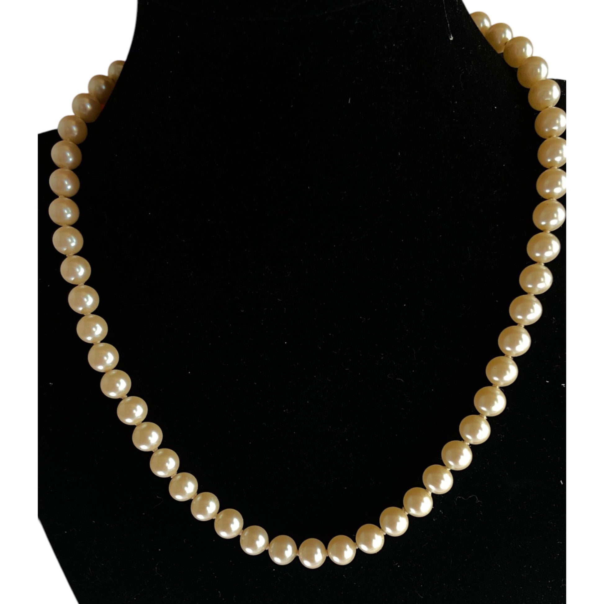 Single-strand faux pearl necklace with warm champagne overtone and gold-tone floral box clasp, pearl set at clasp center