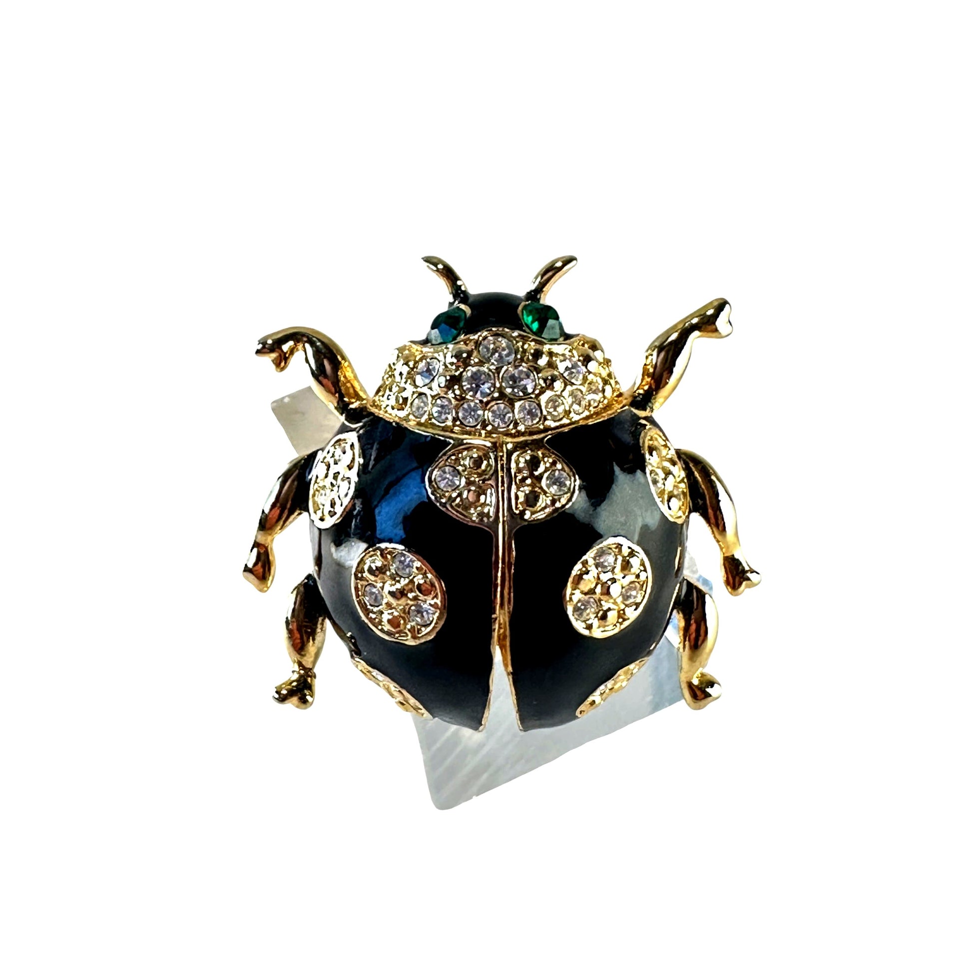 Black enamel beetle – front view