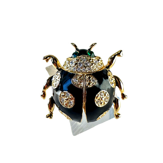 Black enamel beetle – front view