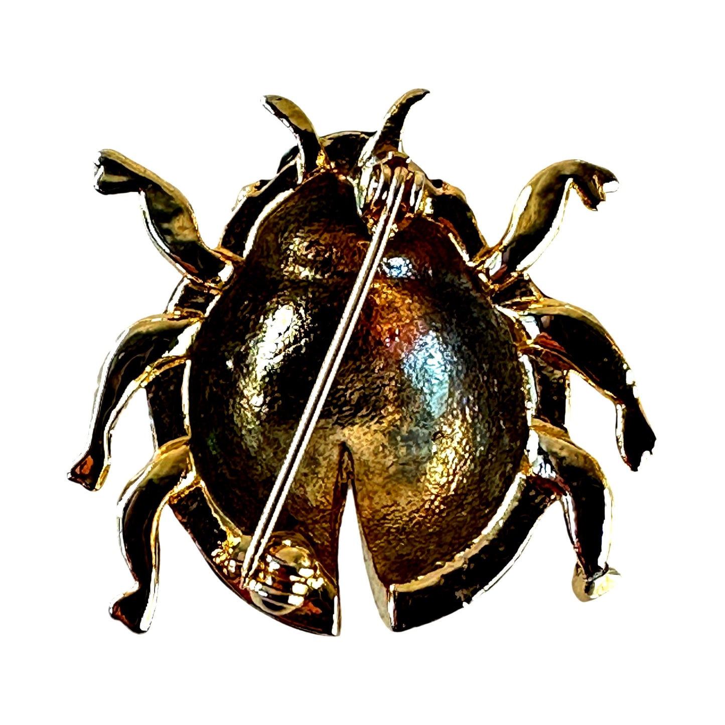 Beetle brooch – display