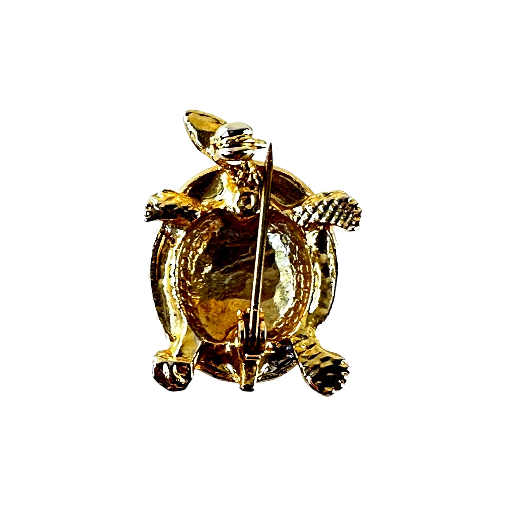 Turtle brooch – display